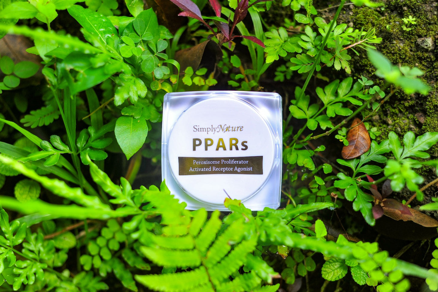 SimplyNature PPARs Powder Extract